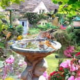 Puzzle Nyári madarak 1000 darab