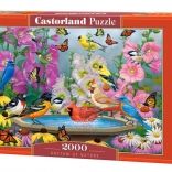 Rhythm of Nature 2000 darabos puzzle