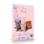 Oxybag ábécés mappa Kedvencek kiscicák