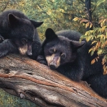 Puzzle Cobble Hill – Anyukára várva, 1000 darab