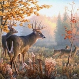 Gyémántfestés Szarvasok a reggeli ködben 30x40 cm
