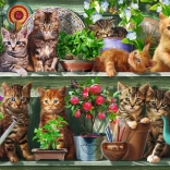 Puzzle Macskák a virágágyásokon 500 darab