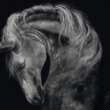 Puzzle Lóerő 1000 darab