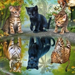 Nagy Álmodó Puzzle 1000 darabos