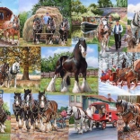 Puzzle 1000 darabos Tahouni a House of Puzzles-tól