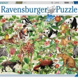 Ravensburger Puzzle Dzsungel 2000 darabos