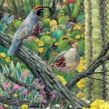 COBBLE HILL Puzzle – Eljegyzés 1000 darabos