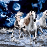 Kreatív gyémántfestő készlet Fehér mének 30x40 cm