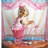 Utazó Álom Puzzle 500 darab