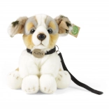 plüss ausztrál juhászkutya pórázzal 28 cm eco friendly