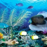 Gyémántfestés Óceán 80x40 cm