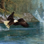 Repülő horgászat puzzle 1000 darabbal