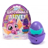 Hatchimals Neonszivárvány