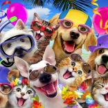 Alipson Puzzle Selfie Tengerparti parti 1000 darab