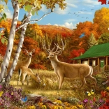 Puzzle ENJOY Valahol a mezőn 1000 darab