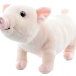 Öko-barát plüss malac 26 cm