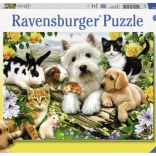 Ravensburger puzzle Happy Animal Buddies 300 darabos