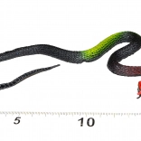 Gumiból készült kígyódísz Halloweenra