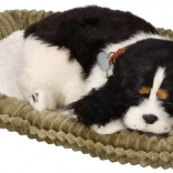 Fogadj örökbe egy lélegző plüss kutyát – Cocker spániel