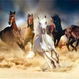 Gyémánt festés Felháborodott csorda 30x40 cm