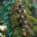 Puzzle Családfa 1000 darabos