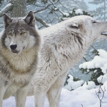 Téli lehelet puzzle 500 darab Cobble Hill