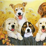 Gyémántszemes festés Kutyabarátok 30x40 cm
